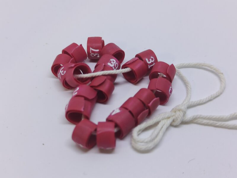 5.5mm Flat Coil Bird Leg Bands: Red numbered 31 to 50